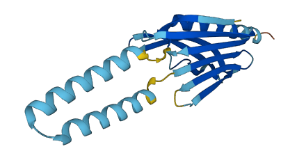 PIGH 3D structure