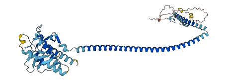 BECN1 3D structure