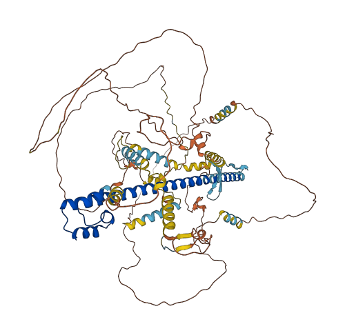 NFE2L1 3D structure