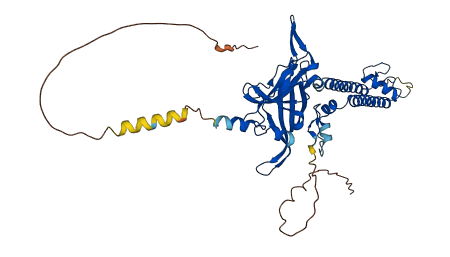 KCNJ12 3D structure