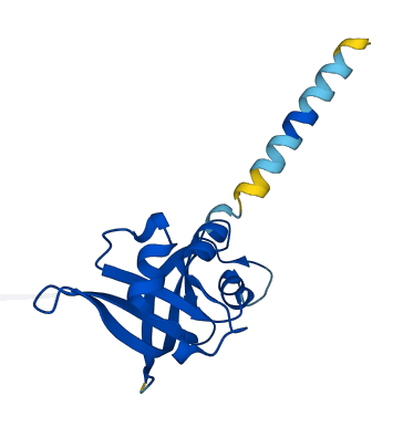 EDDM3A 3D structure