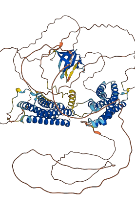 NEDD9 3D structure