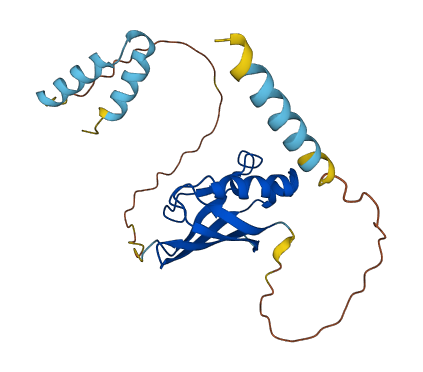 FGFBP1 3D structure