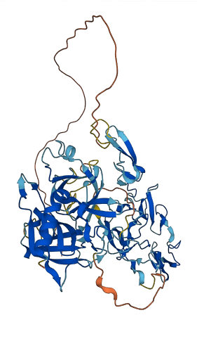 HABP2 3D structure