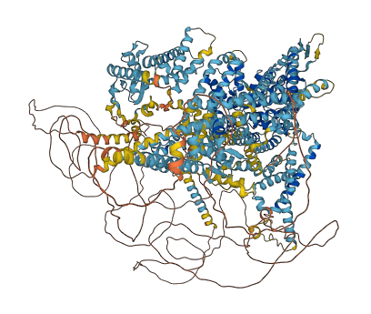 SCN5A 3D structure