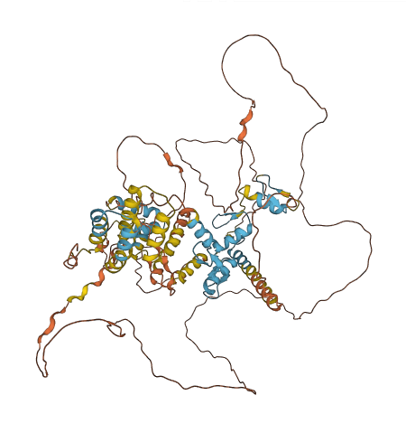 HIC1 3D structure