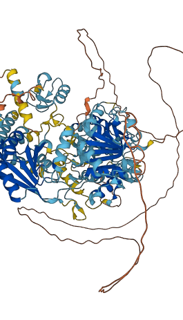 HLTF 3D structure
