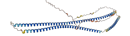 KRT32 3D structure