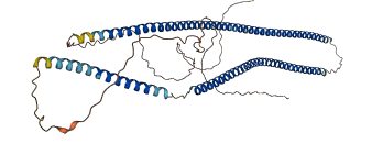 KRT81 3D structure