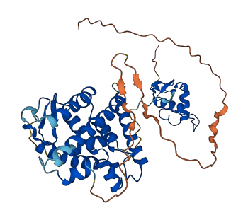 HNF4G 3D structure
