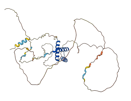 GBX1 3D structure
