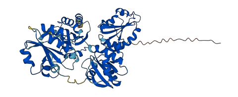 PDIA5 3D structure