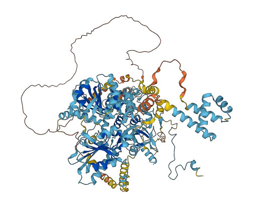 DHX8 3D structure