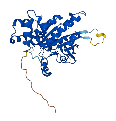 DMC1 3D structure