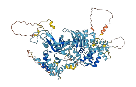 MCM6 3D structure