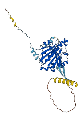 HSP90AA2P 3D structure