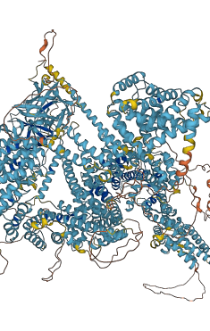 ITPR3 3D structure