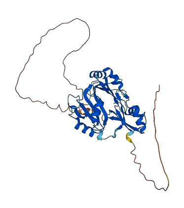 ELAVL3 3D structure