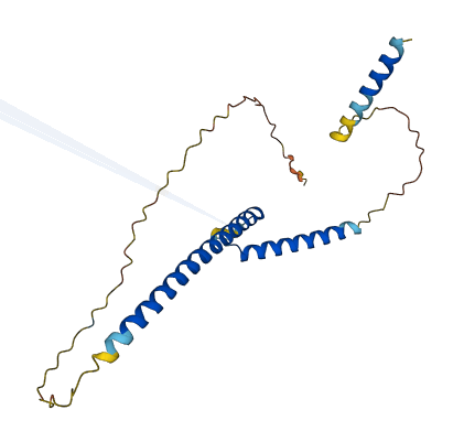 MXD4 3D structure