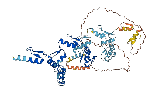 ZNF266 3D structure