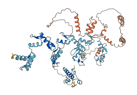 ZNF267 3D structure