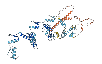 ZNF273 3D structure