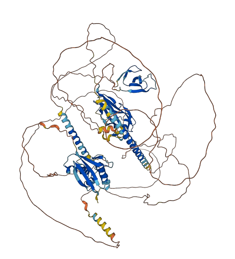 NBR1 3D structure