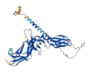 IL11RA 3D structure