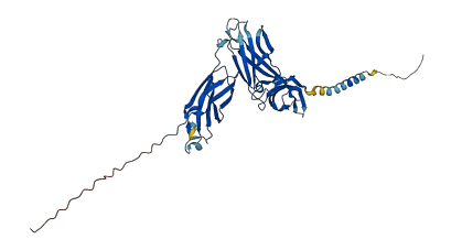 IL13RA2 3D structure