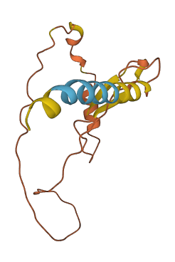 INSL4 3D structure