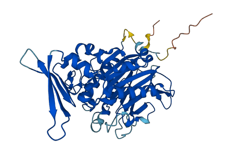 INPP5A 3D structure