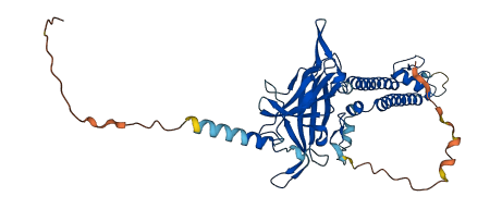 KCNJ11 3D structure