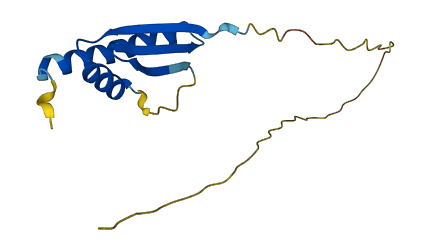 LAGE3 3D structure