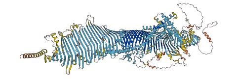 KIAA0100 3D structure