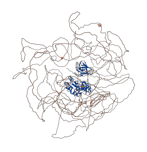 MDC1 3D structure