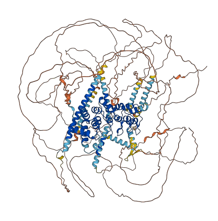 KANK1 3D structure