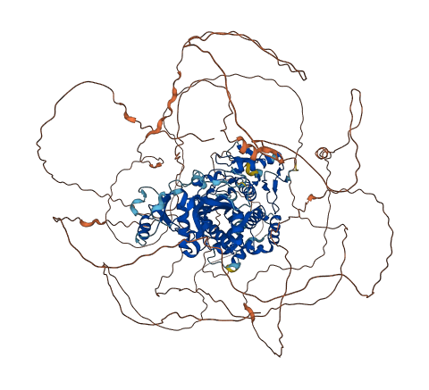 TTLL4 3D structure