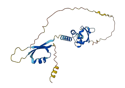 KCTD2 3D structure