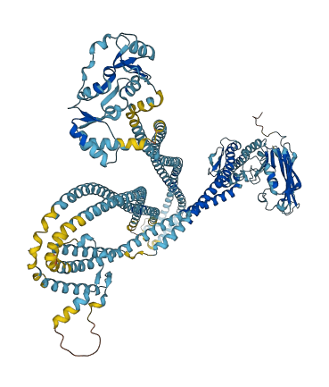 SMC1A 3D structure