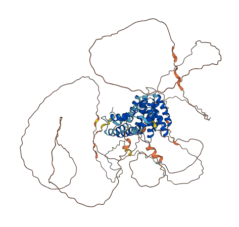 RRP1B 3D structure