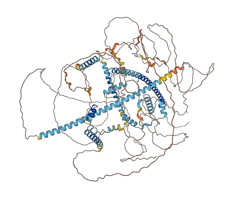 GSE1 3D structure