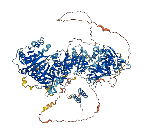 DIP2A 3D structure