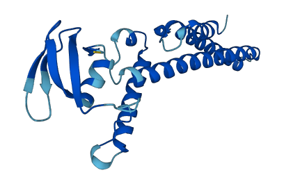 GINS1 3D structure