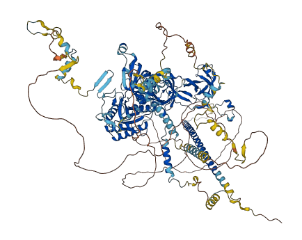 BMS1 3D structure