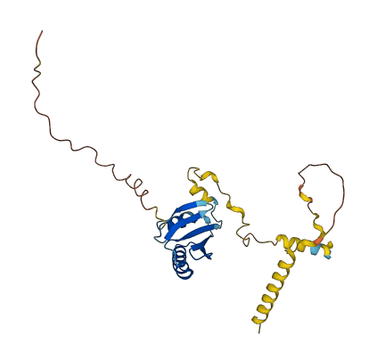 MESD 3D structure