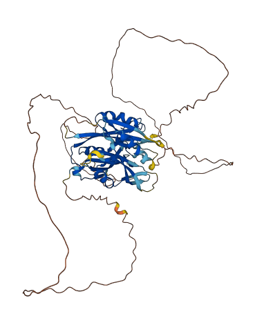 RFTN1 3D structure