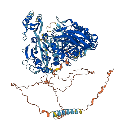 MBTPS1 3D structure