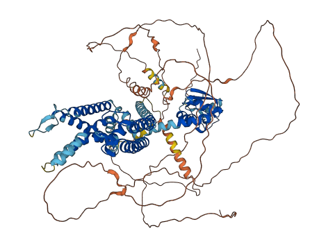 KCNB1 3D structure
