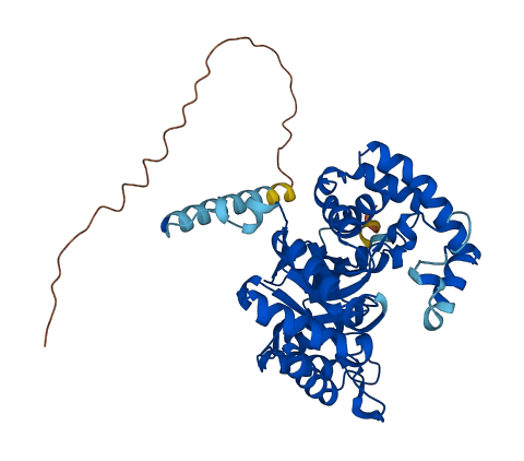 KCNAB1 3D structure