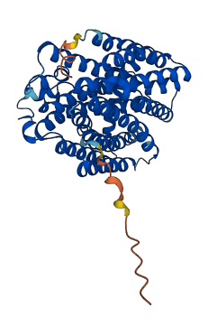 MFSD10 3D structure